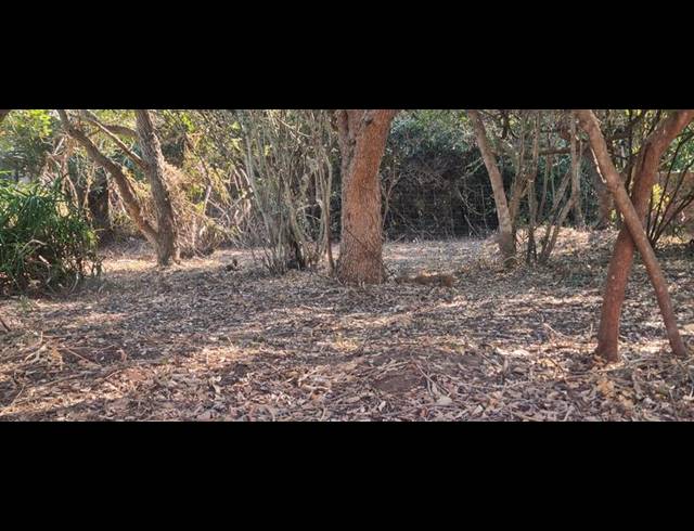 LAND FOR SALE IN GROOT BRAKRIVIER CENTRAL